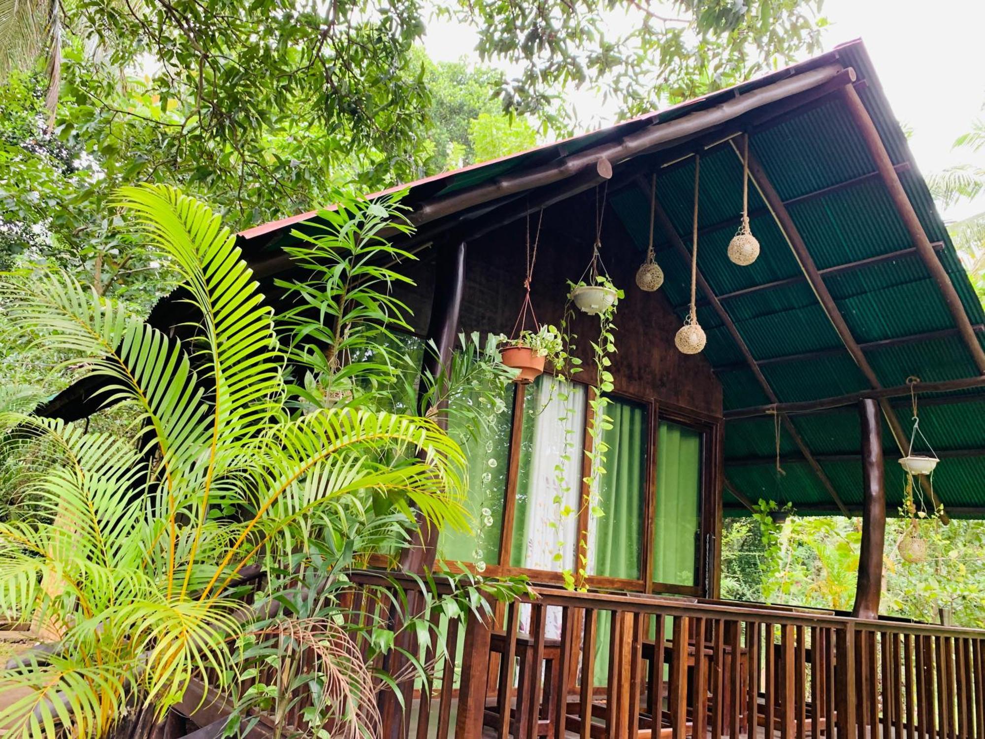 Nature World Udawalawe Kamer foto
