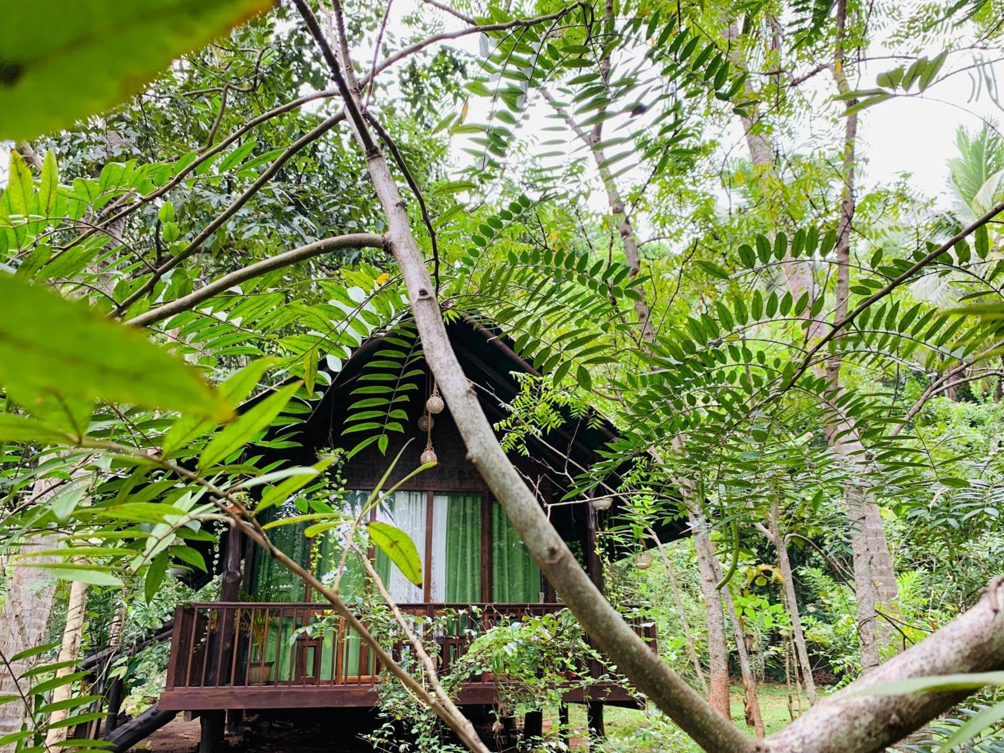 Nature World Udawalawe Kamer foto
